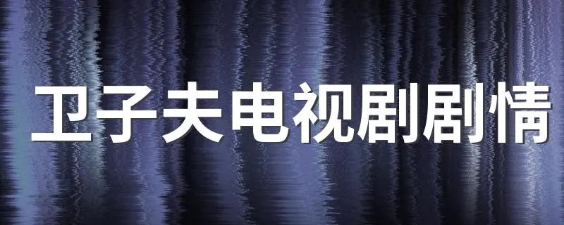 卫子夫电视剧剧情 电视剧卫子夫简介