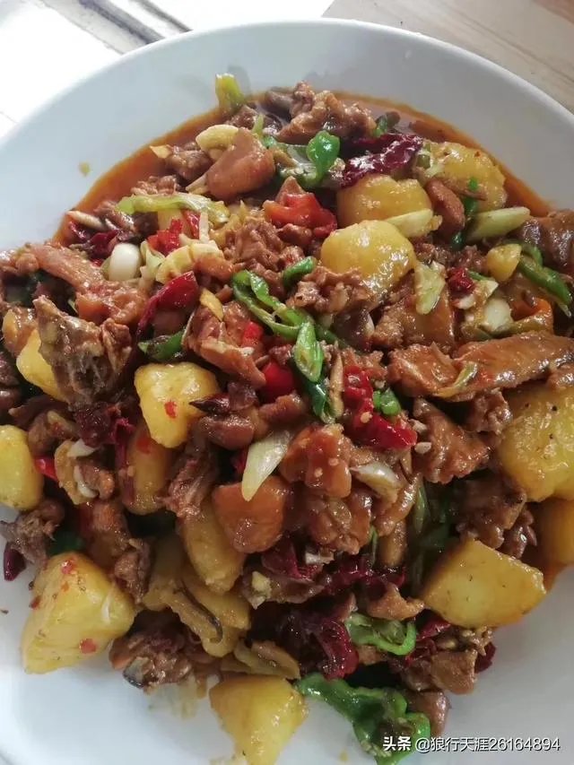 贵阳一男子被大狗撞翻致右腿骨折，协商未果狗主人自行离开, 你怎么看？