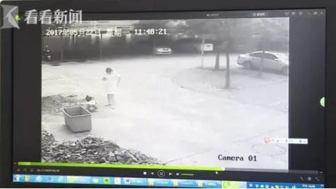 河源女子把17万现金藏卫生间垃圾桶。却被保洁员当垃圾扔了，责任该由谁来担？