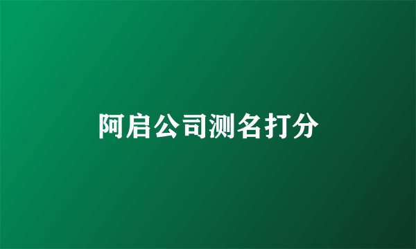 阿启公司测名打分