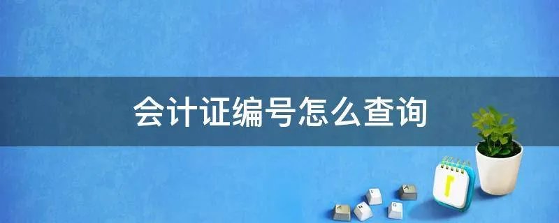 会计证编号怎么查询