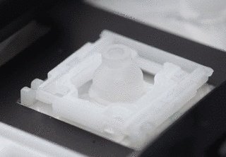 只是多了个背光？Logitech 罗技 K800与K520无线键盘全面对比