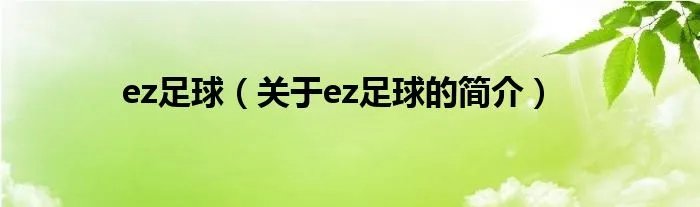 ez足球(关于ez足球的简介)
