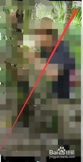 罗永浩直播在哪可以看？罗永浩直播能回放吗？