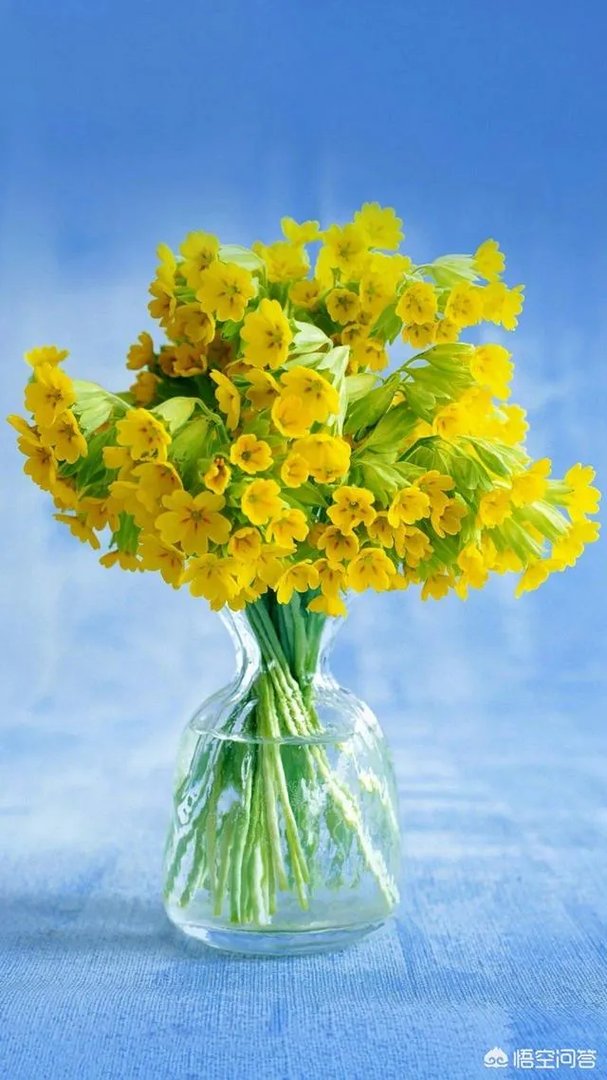 武磊荣获最佳射手和最佳球员奖,许根宝又提新希望,对此有何评价?