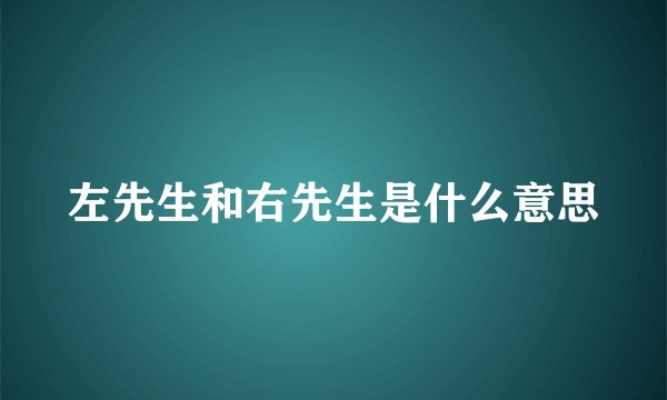 左先生和右先生是什么意思