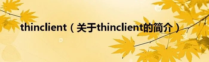 thinclient（关于thinclient的简介）