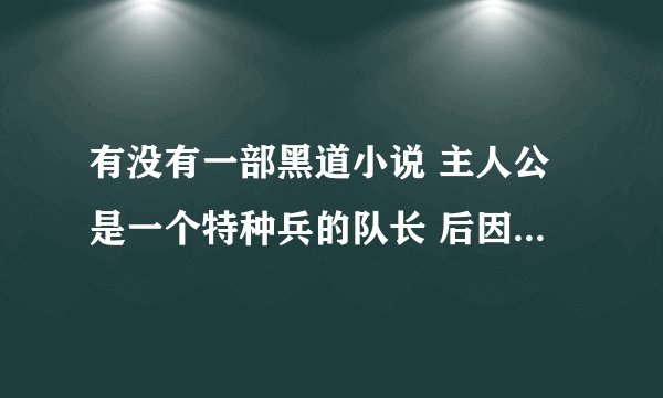 有没有一部黑道小说 主人公是一个特种兵的队长 后因为政治原因，他那个部队死了好多队员 最后都退隐了