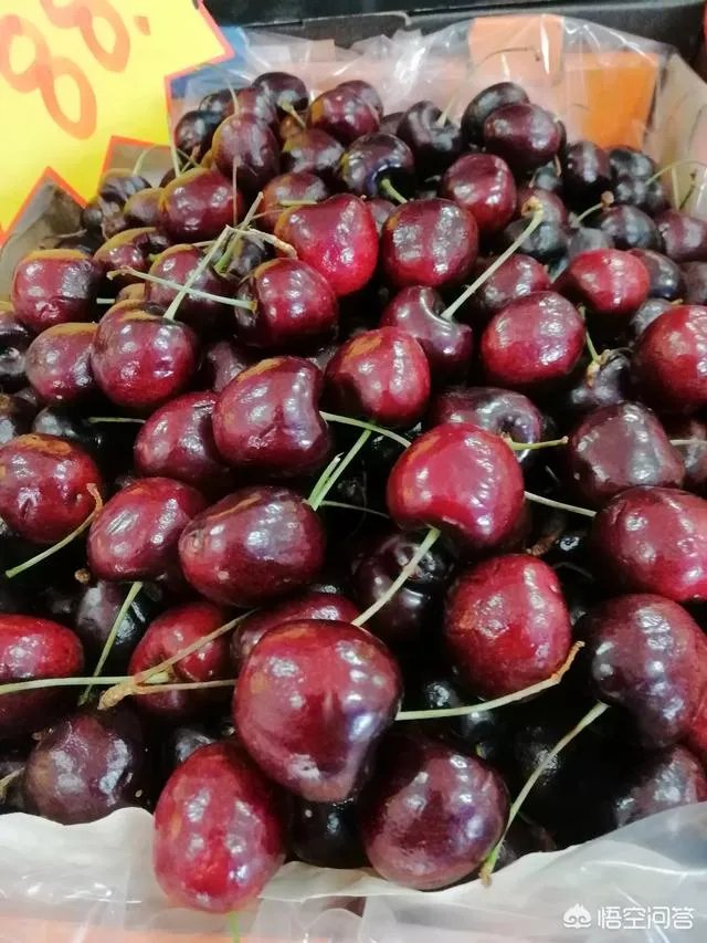 车厘子和樱桃有什么区别？是同一种水果吗？