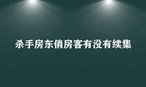 杀手房东俏房客有没有续集