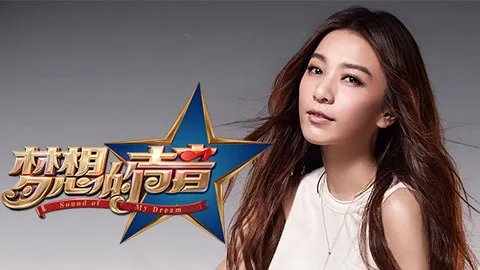 梦想的声音收视率