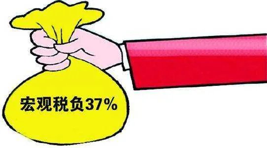 钢材企业的一般纳税人的税负率是多少?