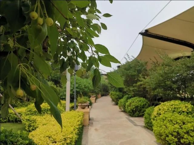 住民宿好还是酒店好?