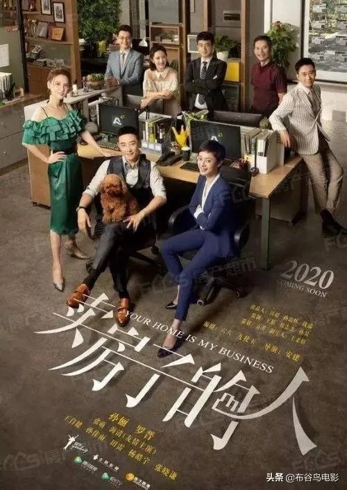 卖房子之类的电视剧有哪些,求推荐?