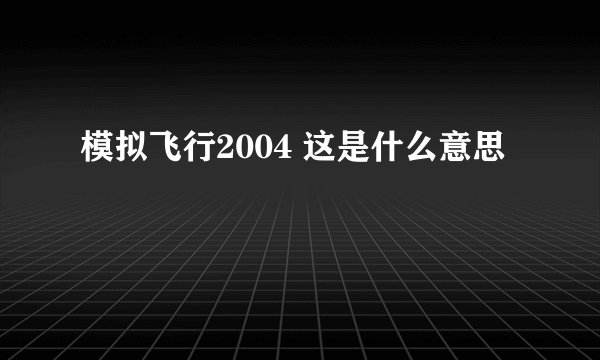 模拟飞行2004 这是什么意思