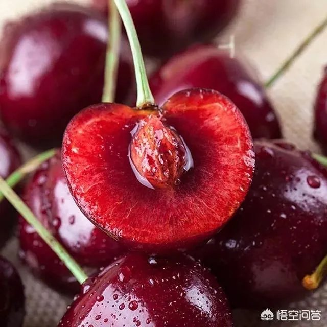 车厘子和樱桃有什么区别？是同一种水果吗？