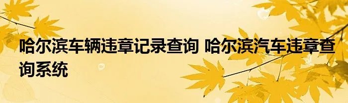 哈尔滨车辆违章记录查询 哈尔滨汽车违章查询系统