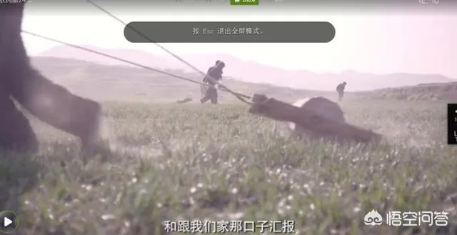 西安村民将麦田设为临时停车场收费遭质疑,你怎么看?