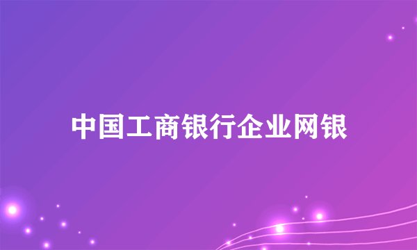 中国工商银行企业网银