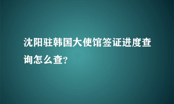 沈阳驻韩国大使馆签证进度查询怎么查？