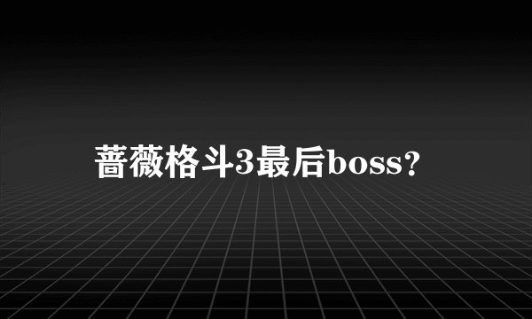 蔷薇格斗3最后boss？