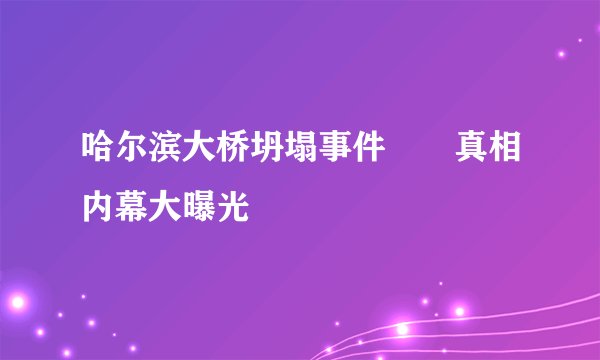 哈尔滨大桥坍塌事件　　真相内幕大曝光