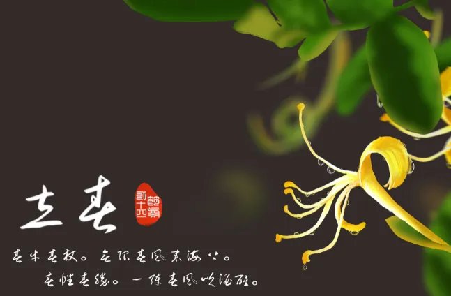 2021年立春是农历哪一天几点几分 2021农历立春是几月几日