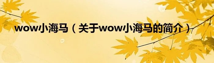 wow小海马（关于wow小海马的简介）