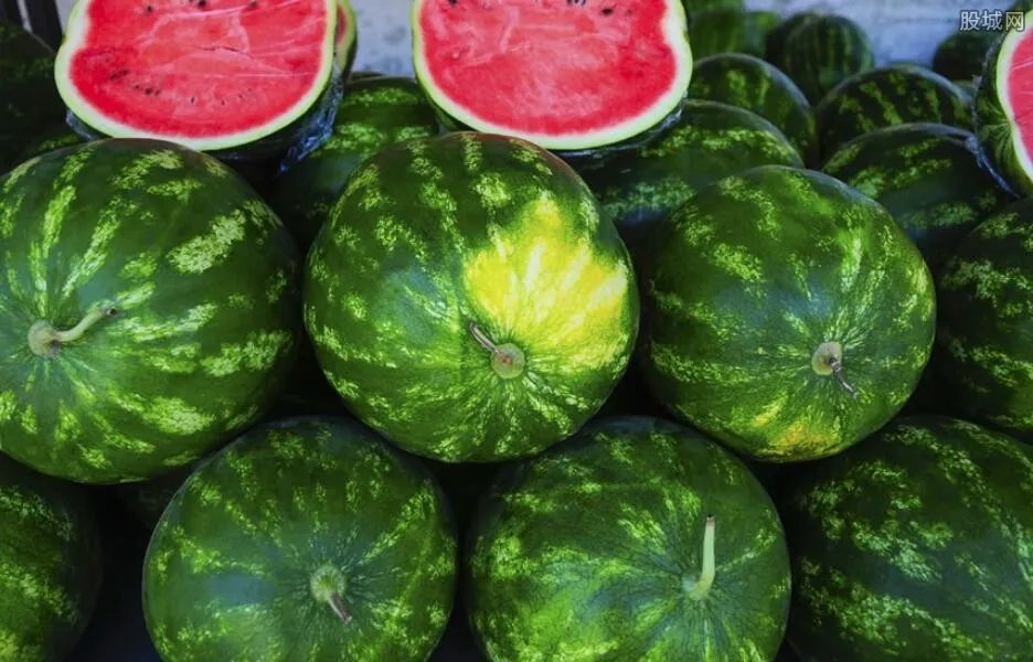 日本拍卖天价西瓜 最高每个1.76万人民币