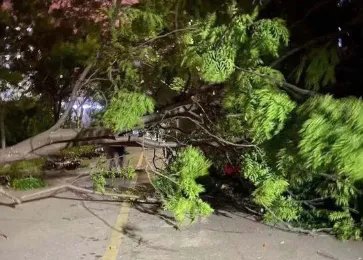 江苏南通大风致11死102伤，当地的风达到了多少级？