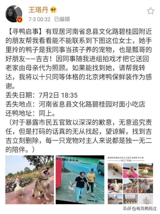 如何评价王珞丹微博挂寻鸭启事?