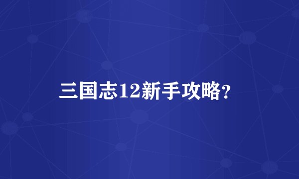三国志12新手攻略？
