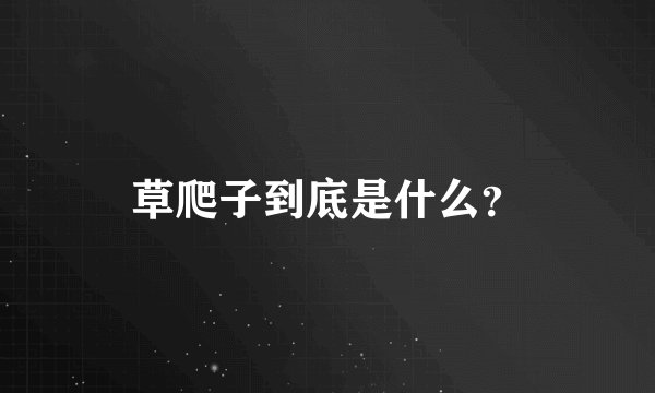草爬子到底是什么？