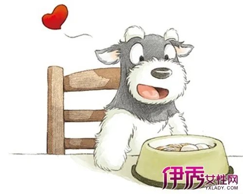 卡通雪纳瑞图片鉴赏