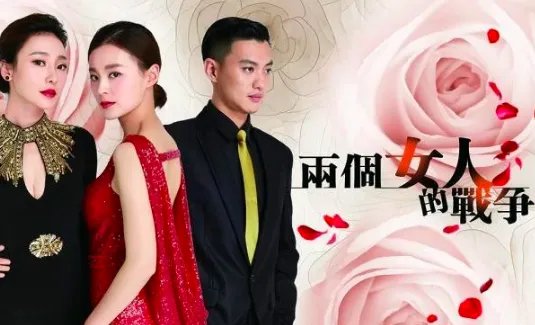两个女人的战争电视剧剧情介绍