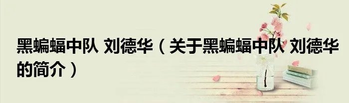 黑蝙蝠中队 刘德华（关于黑蝙蝠中队 刘德华的简介）