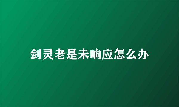 剑灵老是未响应怎么办