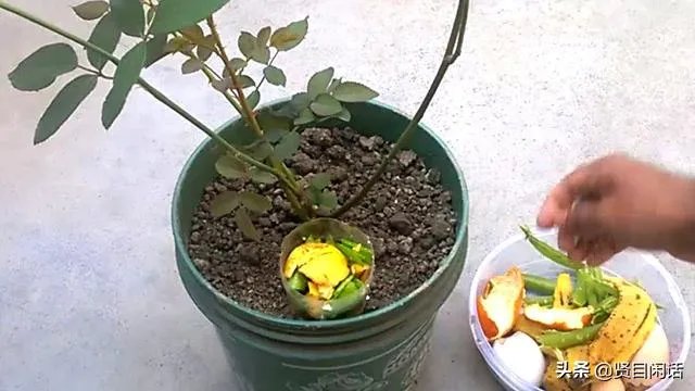 世界地球日是什么节日，什么来历？