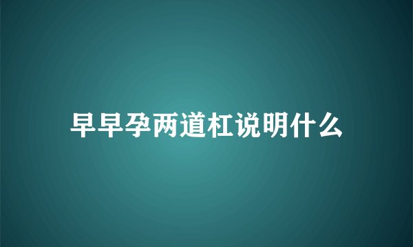 早早孕两道杠说明什么