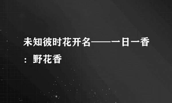 未知彼时花开名——一日一香:野花香