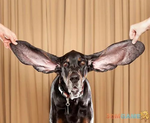 世界之大无奇不有 吉尼斯世界纪录大全2012版