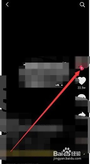 罗永浩直播在哪可以看？罗永浩直播能回放吗？