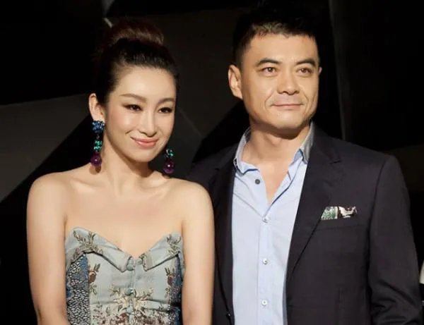 秦海璐王新军取消婚礼，取消婚礼的原因是什么？