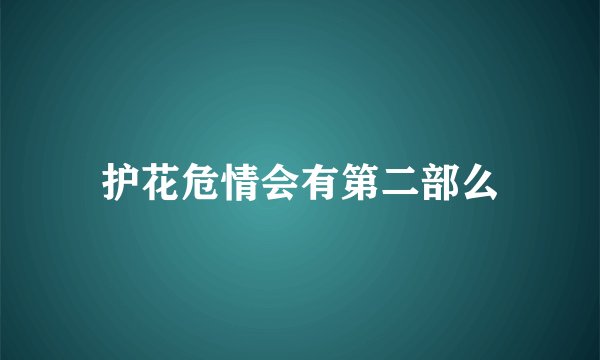 护花危情会有第二部么