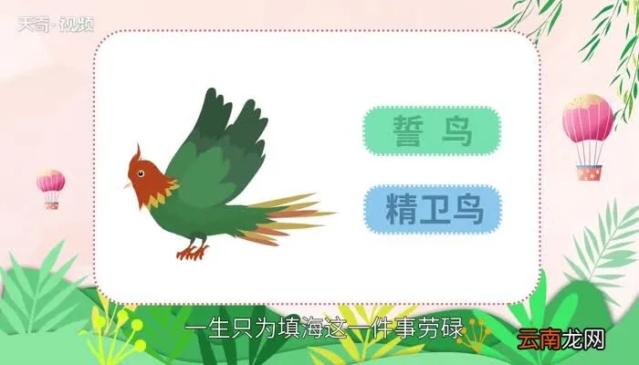 誓鸟的含义是什么 誓鸟是什么意思