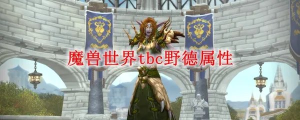 魔兽世界tbc野德属性