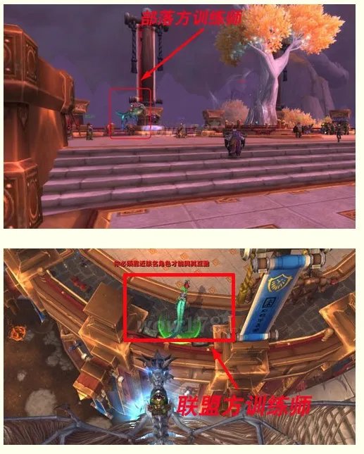 魔兽世界90级去哪学飞行骑术