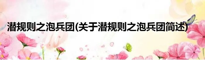 潜规则之泡兵团(关于潜规则之泡兵团简述)