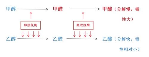还有这种操作?喝假酒中毒,医生竟让喝真酒解毒丨郑堃