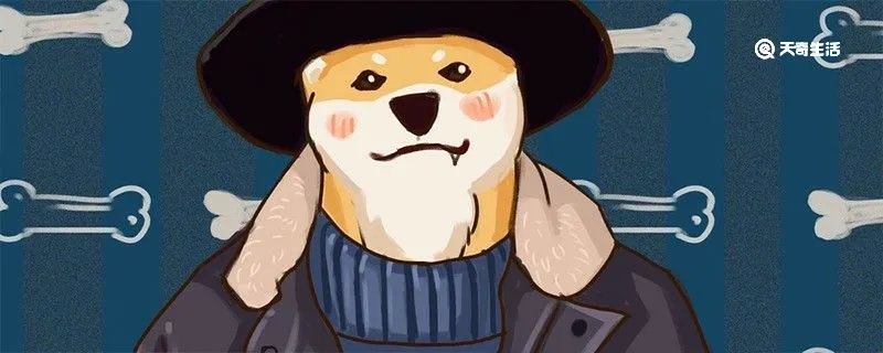 哈士奇大概多少钱一只 哈士奇的智商